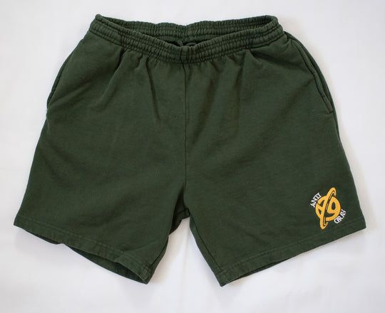 Don't Sweat It Shorts