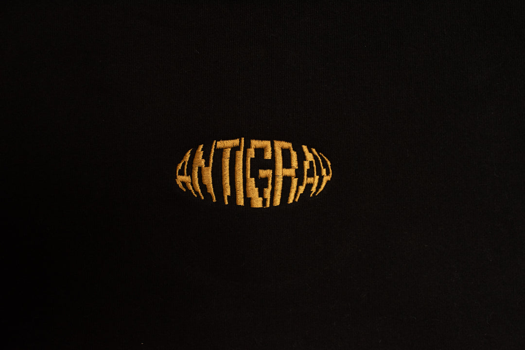 Fisheye Heavyweight Hoody
