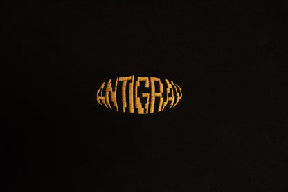 Fisheye Heavyweight Hoody