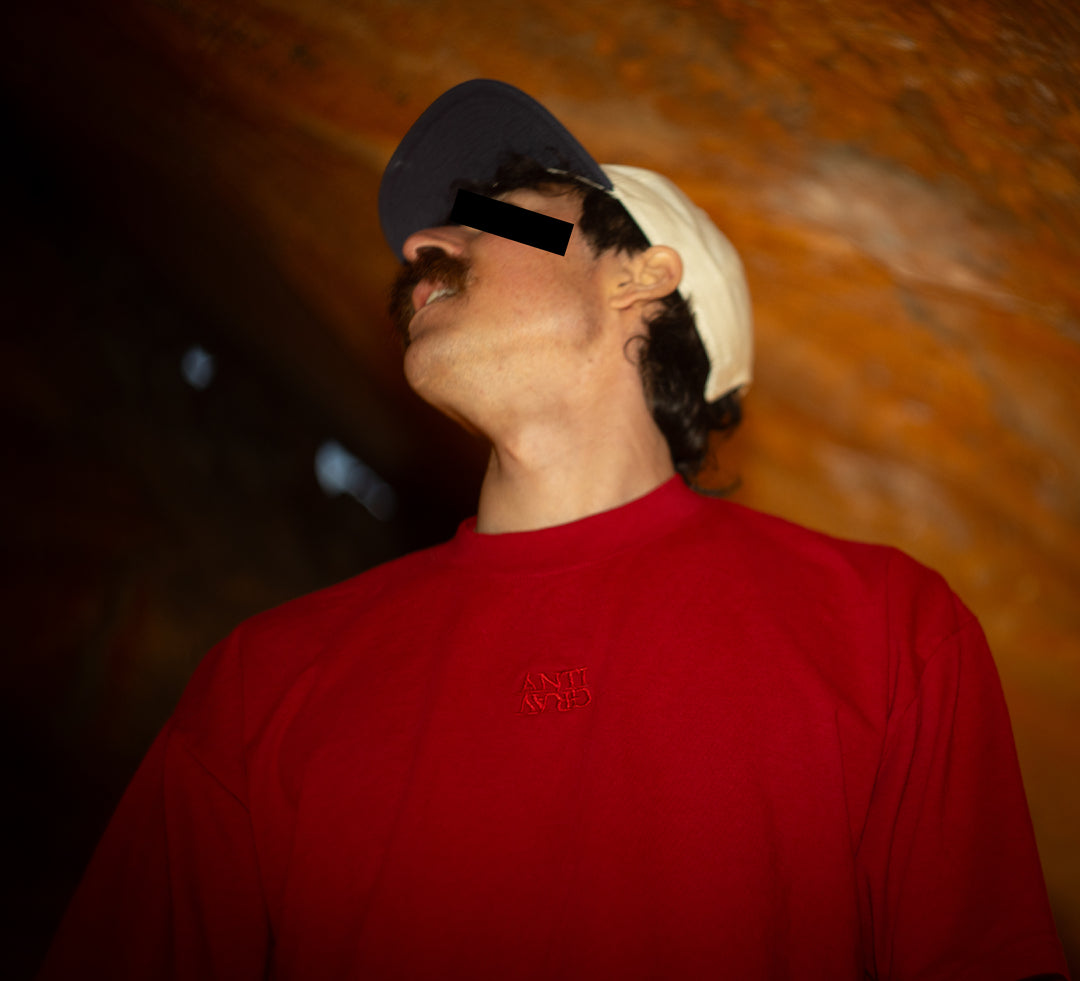 Stacked Embroidered Tee (Summer Haze)