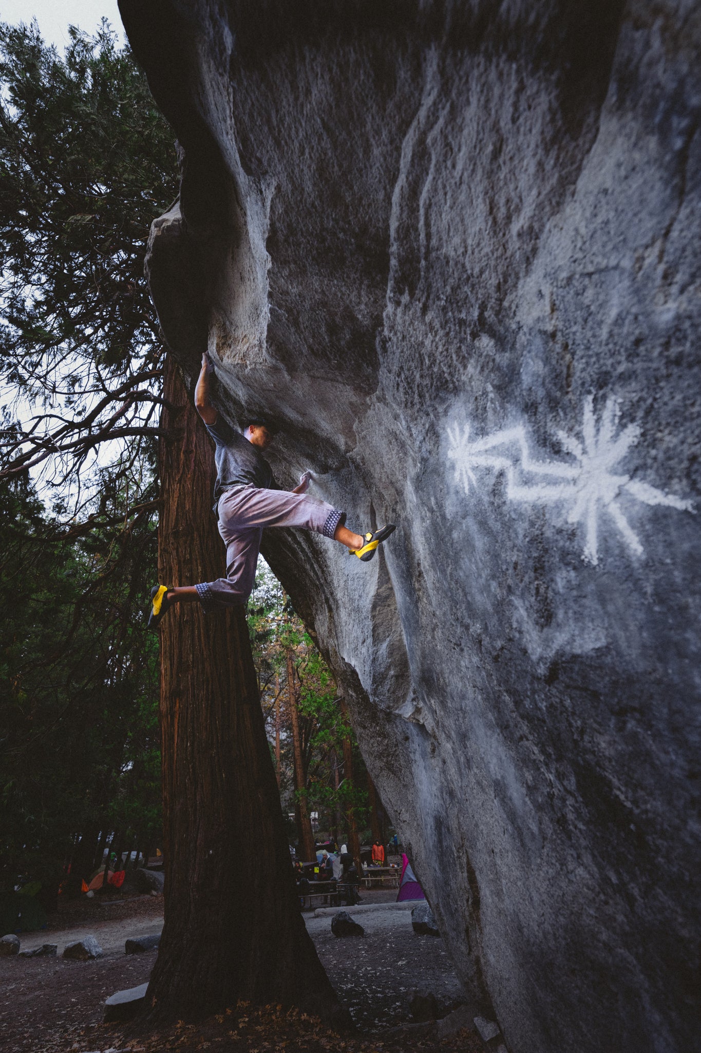 What the Cuff Pants – ANTIGRAV