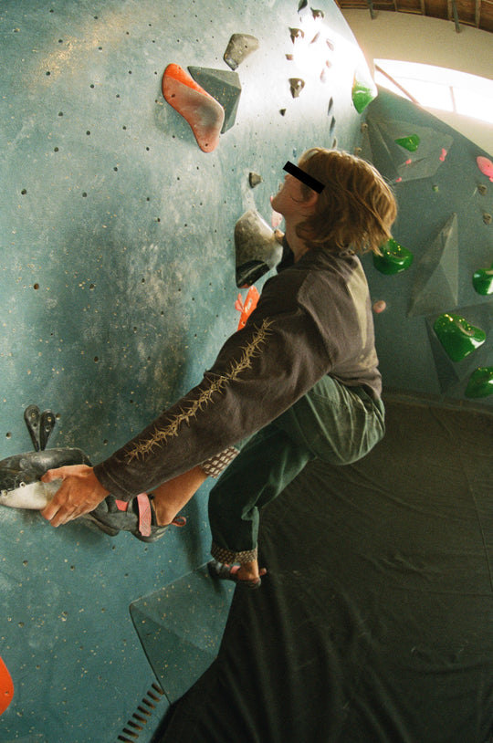 Stone Season LS Crop (Women's)