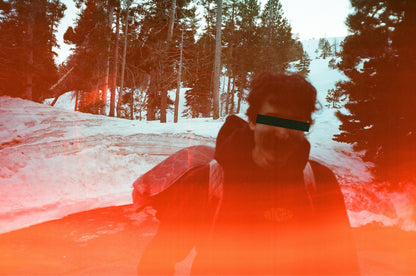 Fisheye Heavyweight Hoody