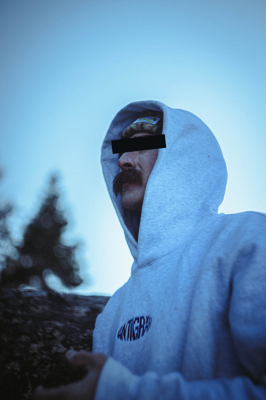 Fisheye Heavyweight Hoody